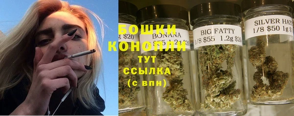 мдпв Няндома