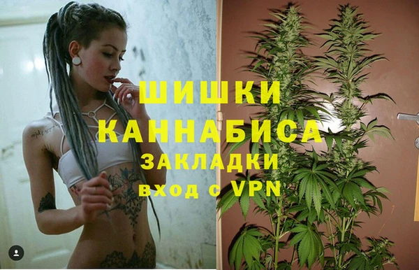 мдпв Няндома