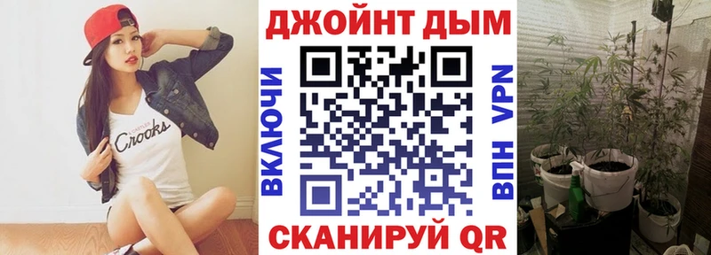 Бошки марихуана MAZAR  закладки  Долгопрудный 
